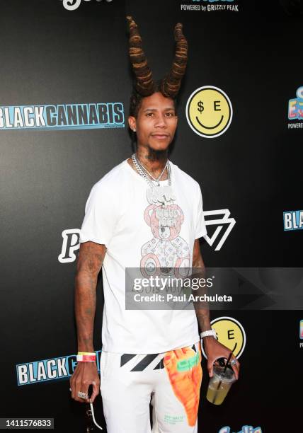 Rich Rapper Background Paul Riche Photos and Premium High Res Pictures - Getty Images