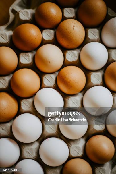 stacks of fresh eggs in egg trays - óvulo fotografías e imágenes de stock