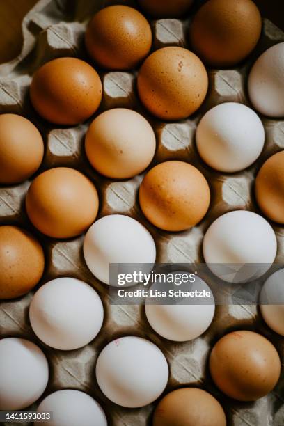 stacks of fresh eggs in egg trays - farm produce market fotografías e imágenes de stock