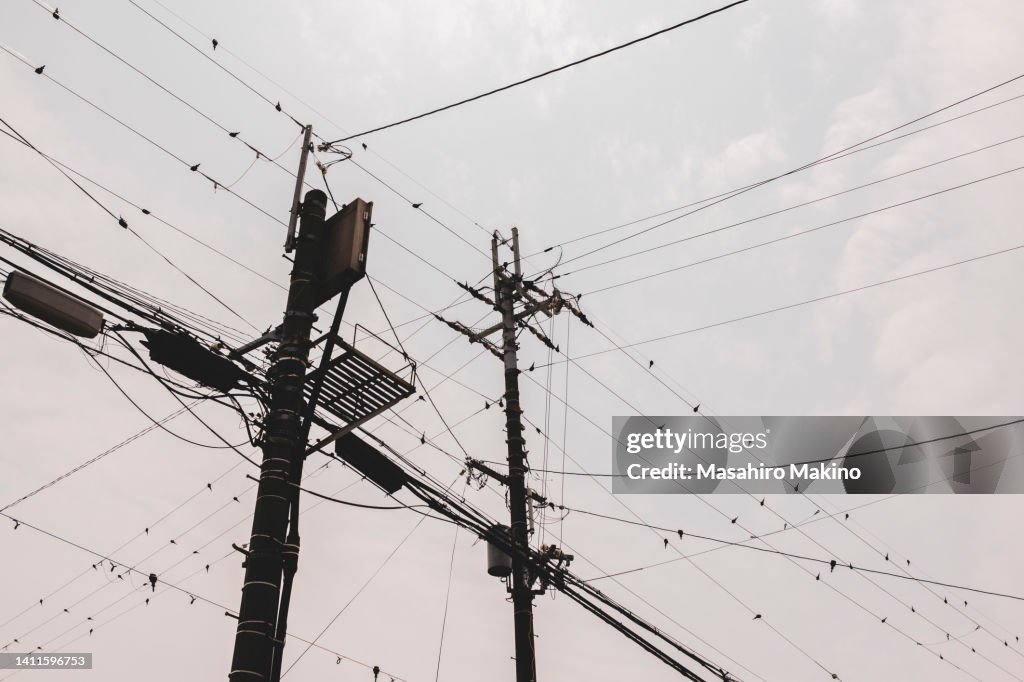 Utility Poles
