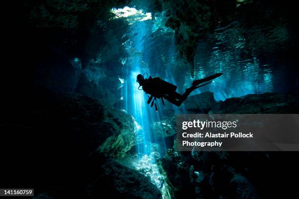 scuba diver inside cenote in mexico - diving to the ground stock-fotos und bilder