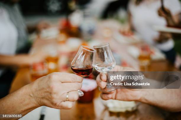 friends raising toast with black forest booze - spirituosen stock-fotos und bilder