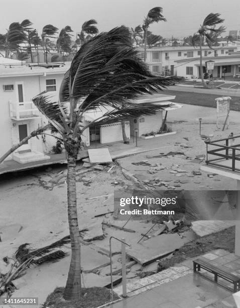 Betsy Rains 51 Hurricane Betsy Photos & High Res Pictures - Getty Images