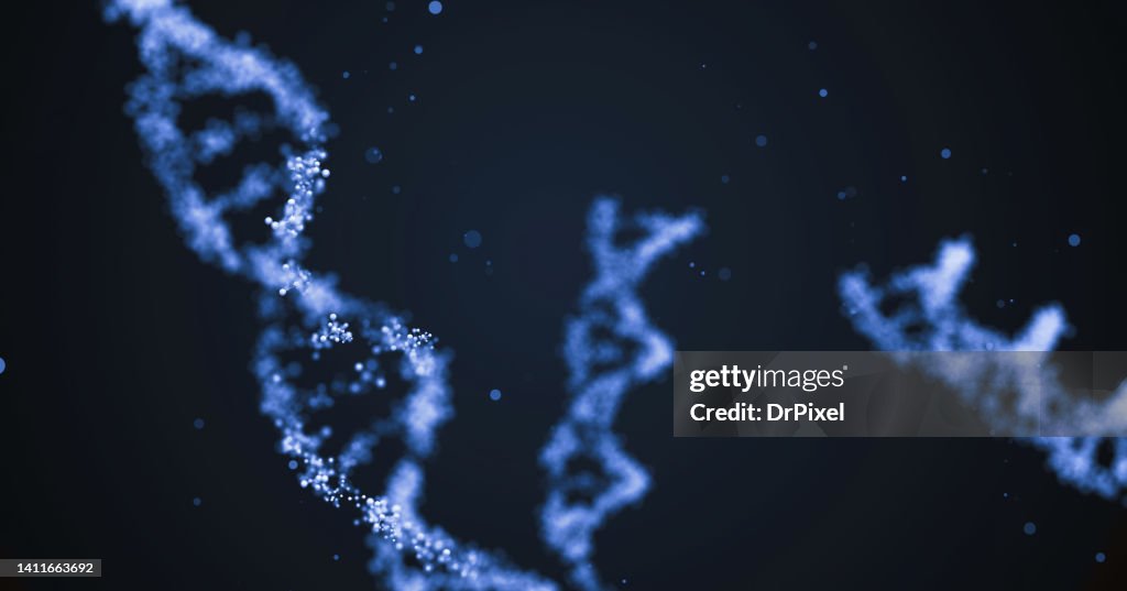 DNA Strands