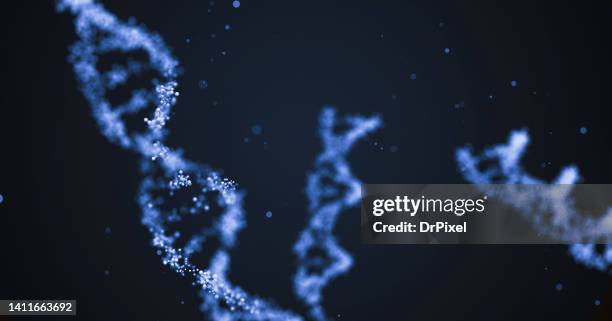 dna strands - helix - fotografias e filmes do acervo