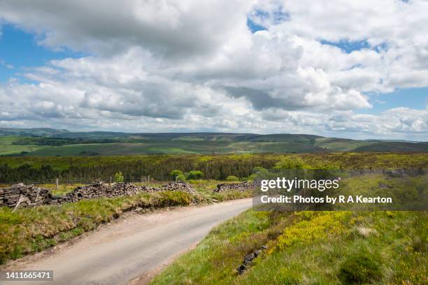 road to the goyt valley from kettleshulme, peak district, england - grass verge stock pictures, royalty-free photos & images