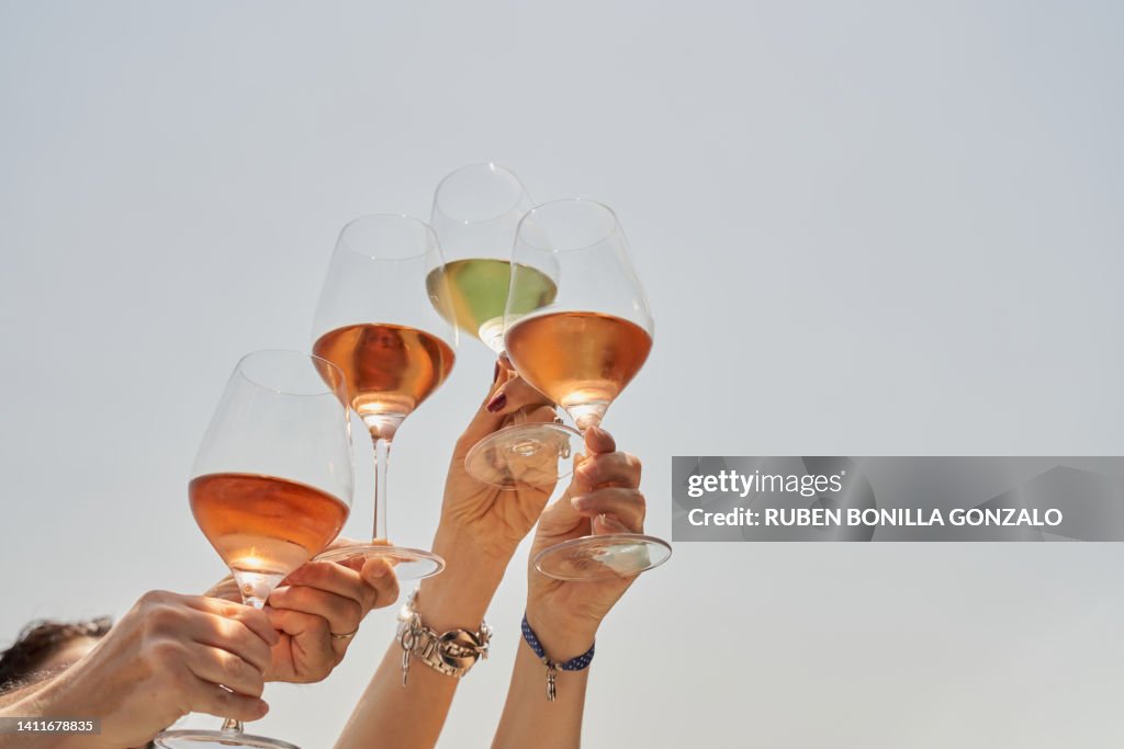 Cropped image of friends cheering with wine in celebration against blue sky. Food and drink concept.