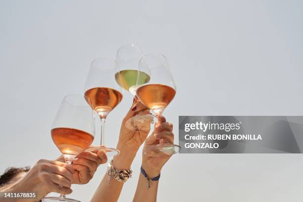 cropped image of friends cheering with wine in celebration against blue sky. food and drink concept. - rose wine stock pictures, royalty-free photos & images