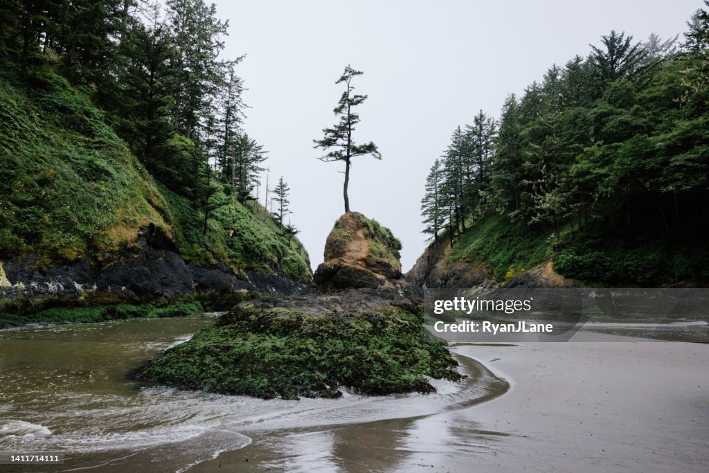 Dead Man's Cove nello Stato di Washington