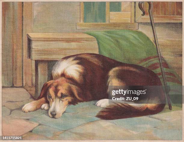 ilustraciones, imágenes clip art, dibujos animados e iconos de stock de perro, cromolitografía, publicado alrededor de 1898 - perro de caza