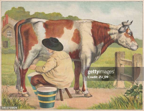 ilustrações de stock, clip art, desenhos animados e ícones de cow and milker, chromolithograph, published ca. 1898 - milking