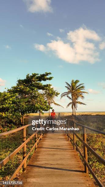 cyclist on the coast of aracaju in northeastern brazil - brasil sergipe aracaju foto e immagini stock