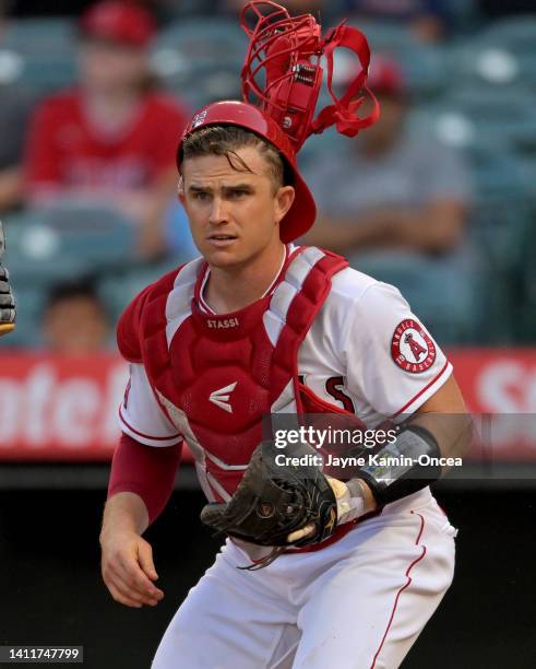Max Stassi Max Stassi Photos and Premium High Res Pictures - Getty Images