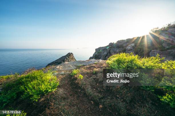 cliff by the sea - ledge stock-fotos und bilder