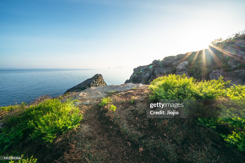Cliff by the sea