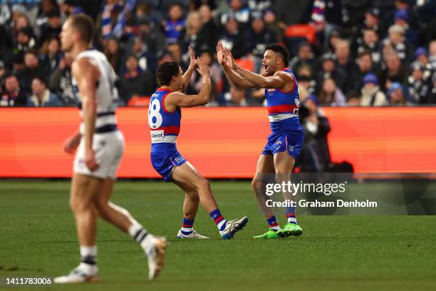 Jason Johannisen of the Bulldogs celebrates kicking a goal during the round 20 AFL match between the Geelong Cats and the Western Bulldogs at GMHBA...