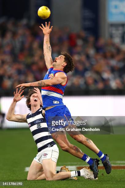 Tom Liberatore of the Bulldogs reaches for the ball during the round 20 AFL match between the Geelong Cats and the Western Bulldogs at GMHBA Stadium...