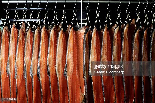Fish Fillet Racks Fish Island London Photos and Premium High Res Pictures - Getty Images