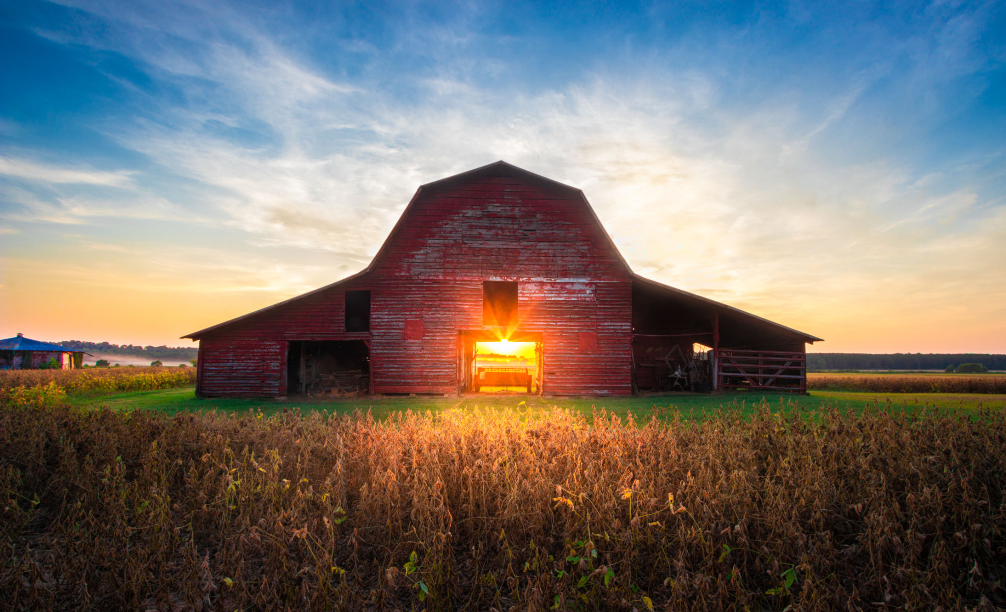 summer barn