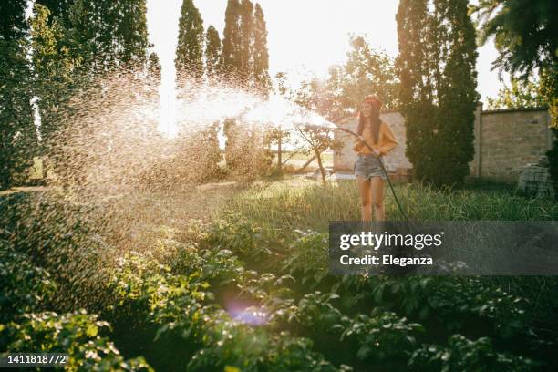 young woman watering vegetables in the garden - tuinslang stockfoto's en -beelden