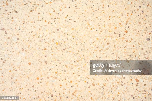abstract background or pattern on ceramic wall tiles, in a home bathroom. floor tiles with beautiful bright geometric shapes and mosaics - beige photos et images de collection