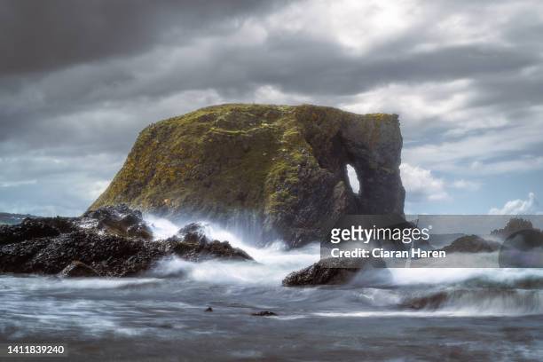 elephant rock, ballintoy harbour, northern ireland - giants causeway stock-fotos und bilder