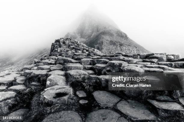 the giant's causeway stones, in moody black and white, northern ireland - giants causeway photos et images de collection