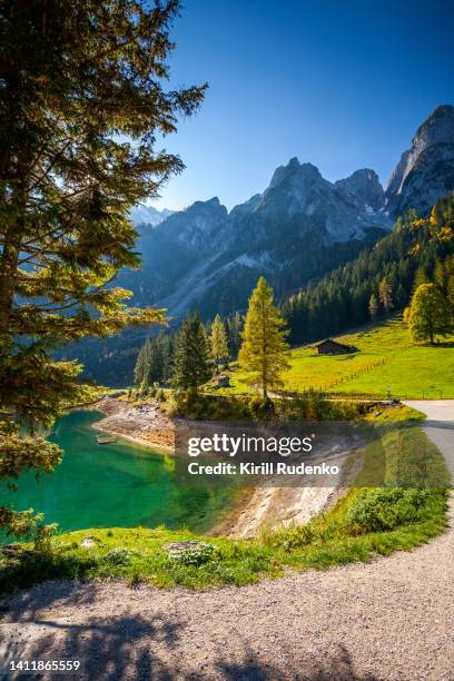 gosausee in autumn - idyllic cottage stock pictures, royalty-free photos & images