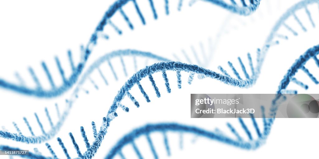 RNA. On White Background