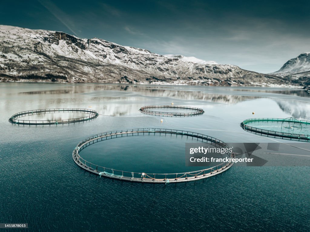 Fish farm in norway