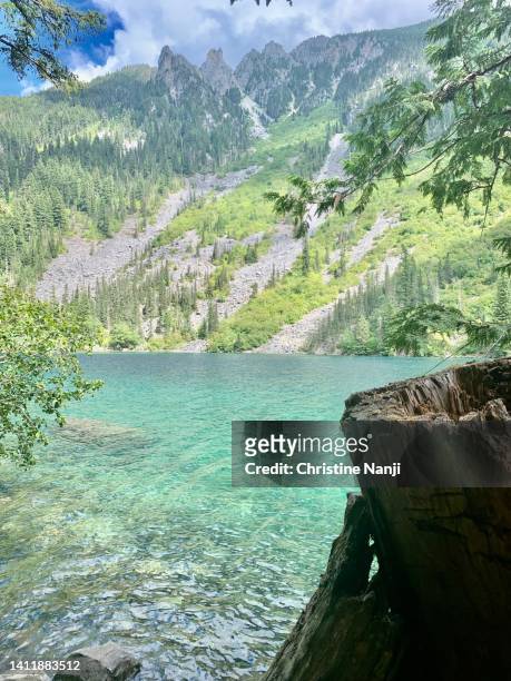 lindeman lake - lakeshore stock pictures, royalty-free photos & images