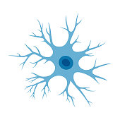 Human neuron cell illustration. Brain neuron structure. Cell body, nucleus, axon and dendrites scheme. Neurology illustration