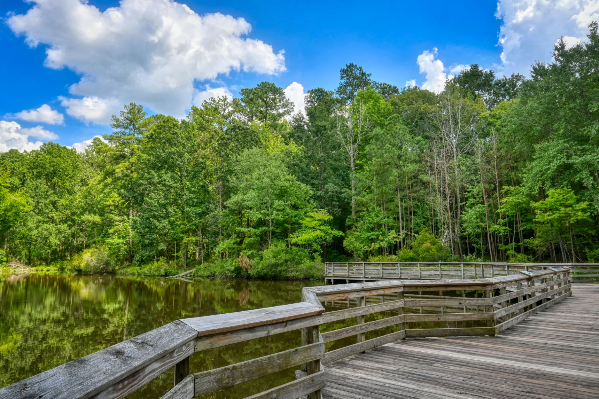 sandy springs park