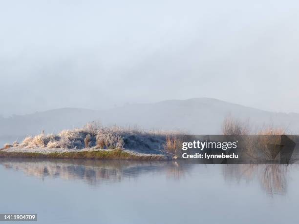 dangar’s lagoon winter landscape - lagoon willow stock pictures, royalty-free photos & images