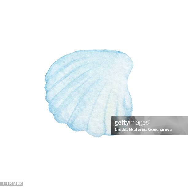 scallop seashell in watercolor technique on a white isolated background - conchiglia foto e immagini stock