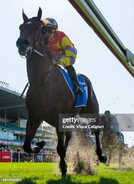 Damian Lane riding Alpha One winning Race 2, the Luna Hand Care Handicap, during Melbourne Racing at Moonee Valley Racecourse on July 30, 2022 in...