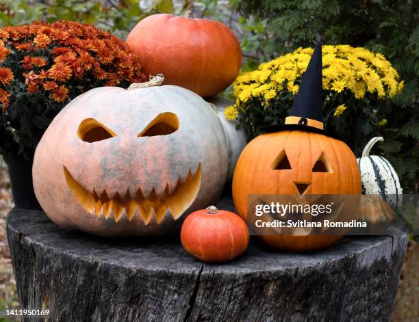 halloween decorated pumkins - pumpkin stock pictures, royalty-free photos & images