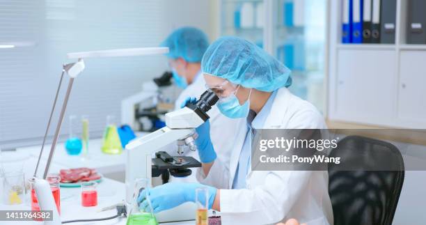 food safety concept - biologist stockfoto's en -beelden