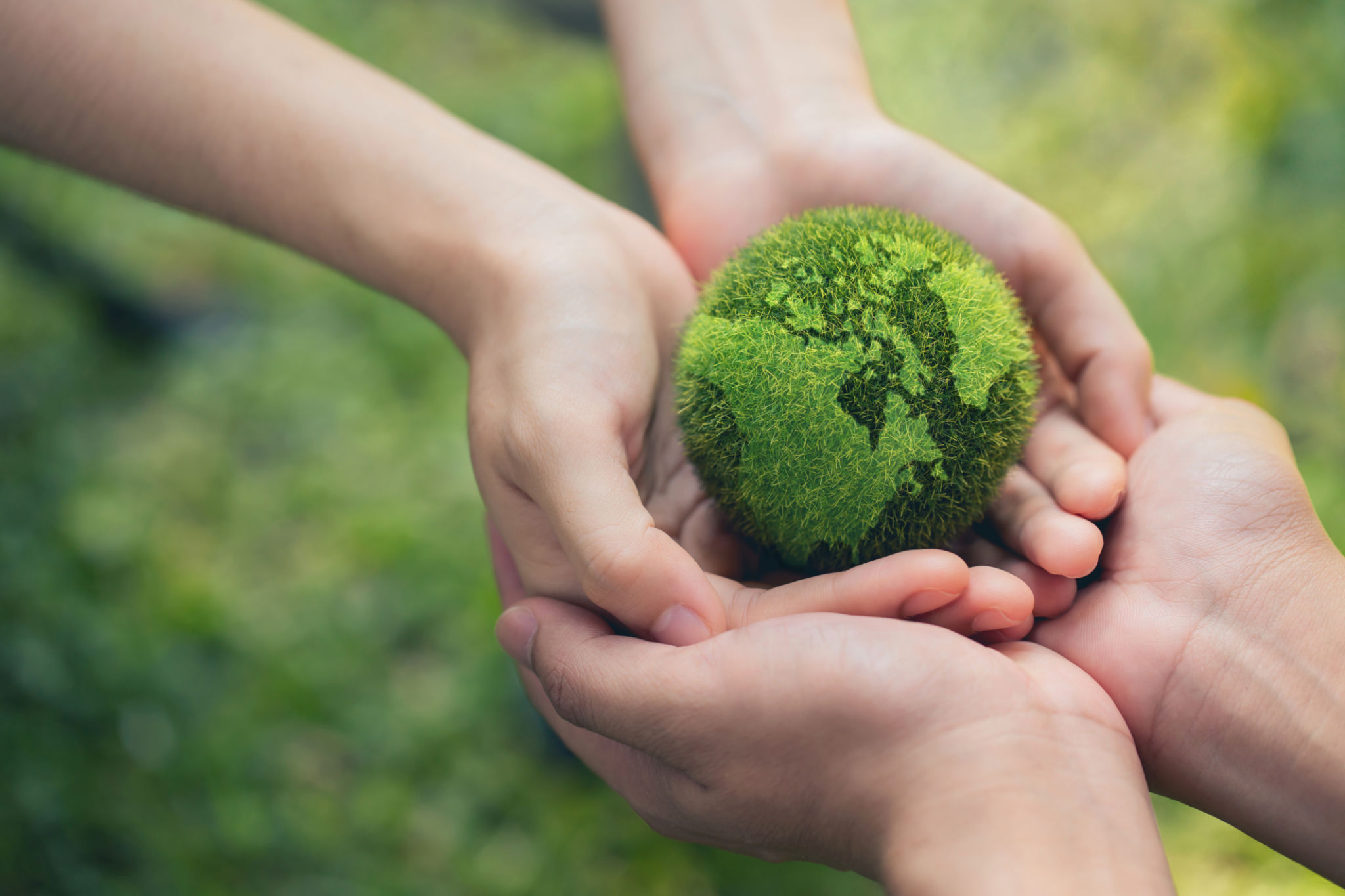 global conservation efforts