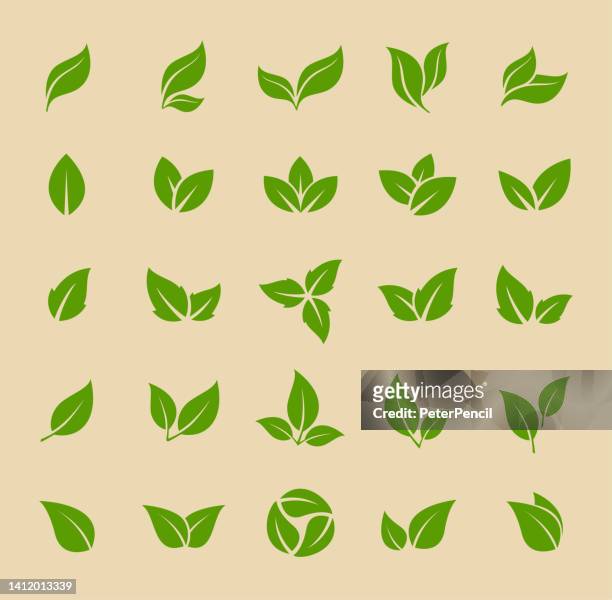 ilustraciones, imágenes clip art, dibujos animados e iconos de stock de leaves icon - vector stock illustration. colección leaf shapes - herbal logo