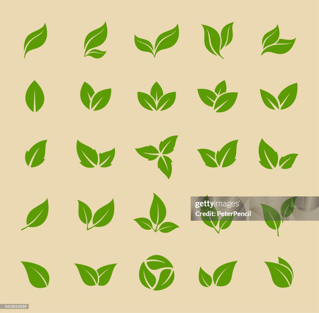 Leaves Icon - Vector Stock Illustration. Leaf Shapes Collection