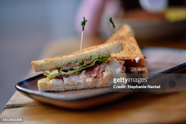 club sandwich on a plate - sanduíche club - fotografias e filmes do acervo