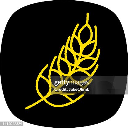 Grain Doodle 3 Grain Doodle 3