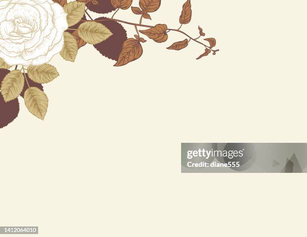 botanical rose invitation and greeting card template - wedding background vector stock illustrations