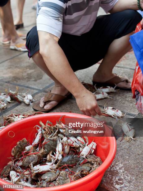 a man choosing crab in the street market - 鼓浪嶼 ストックフォトと画像