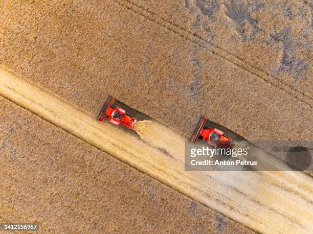 aerial view of combine harvesters on wheat field. - rogge graan stockfoto's en -beelden