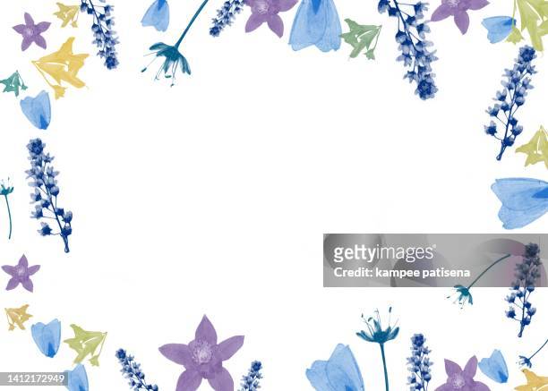 blue green yellow and violet flower frame - frame border stockfoto's en -beelden