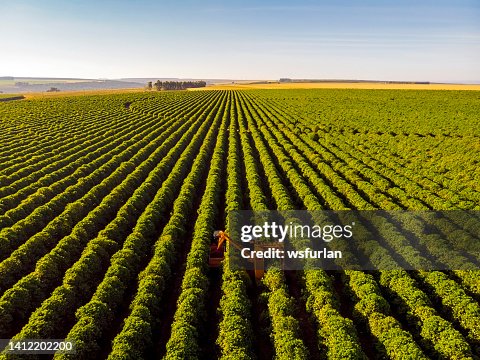 Coffee combine harvester Coffee combine harvester