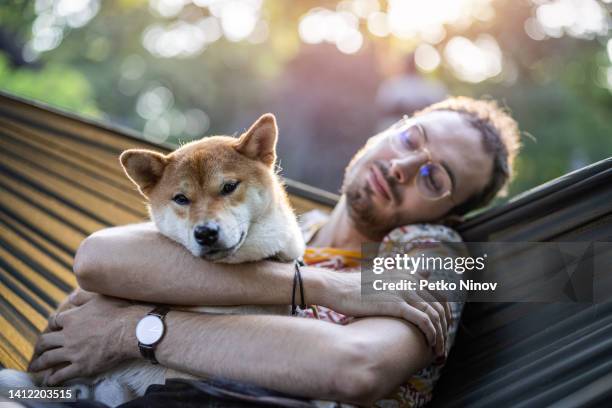 man relaxing with his dog in the hammock - shiba inu adult stock pictures, royalty-free photos & images