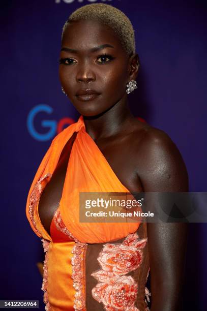 Nyakim Gatwech attends the Koshie Mills presents Heirs of Afrika 5th Annual International Women of Power Awards hosted by Loni Love at Sheraton Grand...